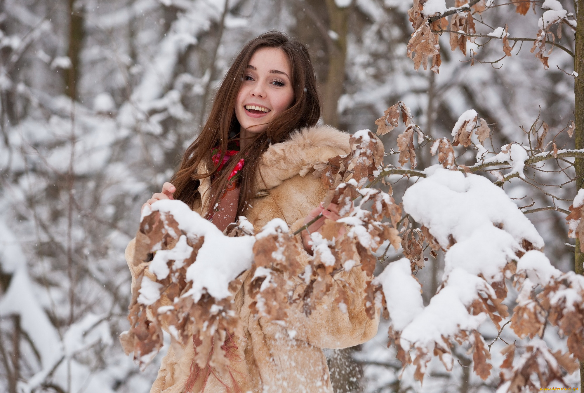 Девушка зима лес. Девушка в зимнем лесу. Зимняя фотосессия.